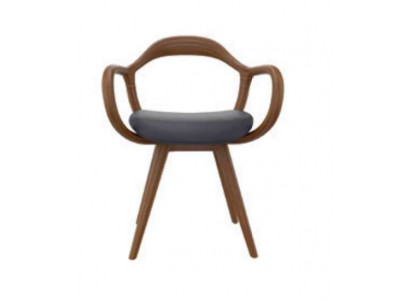 Chaises Salle à manger Salle à manger Fauteuil Chaise en bois avec accoudoir Mobilier de salle à manger