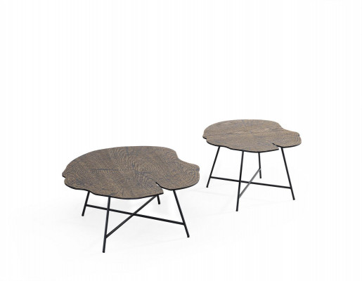 Ensemble de deux tables basses luxueuses pour le salon dans un style moderne