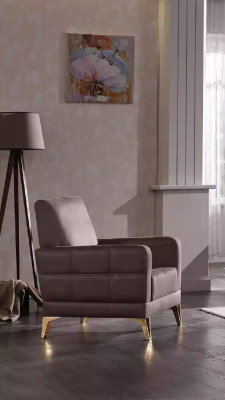 acier inoxydable fauteuil siège meubles chaise de relaxation meubles de salon chaise rembourrée