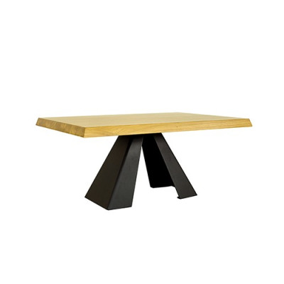 Table basse Table de canapé Table d'appoint pour canapé en bois massif 100x60cm