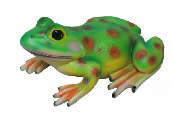Conception Grenouille Figure Jardin Statue Sculpture Figures Sculptures Décoration c829