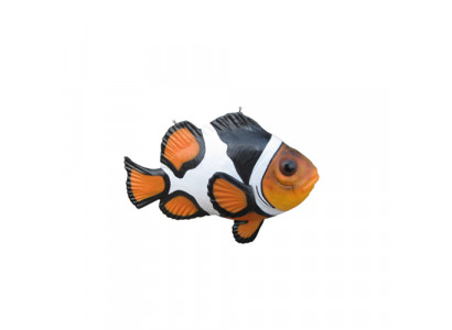 Amphiprion Stand Zoo Aquarium Sculpture Fish Sculpture Statue Figures 120cm  Support Amphiprion Zoo Aquarium Sculpture Poisson Sculpture Statue Figures 120cm