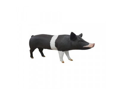 Élevage de porcs d'engraissement Décoration de ferme Statue de jardin Animal Figures de statue d'âge 160cm