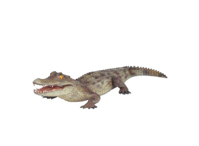 Décoration de jardin en forme de crocodile Statue grandeur nature Figures Sculpture 198cm Statues Figu