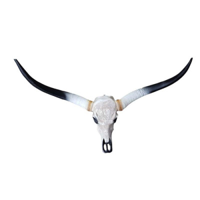 Crâne de vache taureau Décoration Faux 100cm Design mural Crâne de buffle d'eau