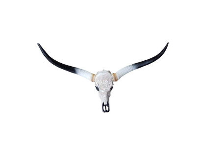 Crâne de vache taureau Décoration Faux 100cm Design mural Crâne de buffle d'eau