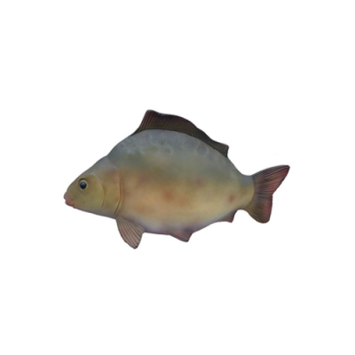 Décoratif sculpture de poisson moderne et beau, hauteur de la figure 60 cm.