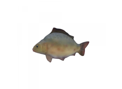 Décoratif sculpture de poisson moderne et beau, hauteur de la figure 60 cm.