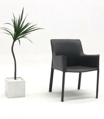 Conception de sièges rembourrés pour la salle à manger, le club, la cuisine, le salon, le mobilier de vie. Chaise fauteuil.