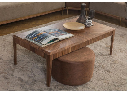 Table basse élégante Marron Rectangulaire Salon Table Basse en Bois