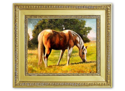 Image à l'huile peintes à la main avec cadre baroque cheval G05042