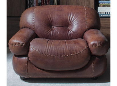 Fauteuil en cuir vintage Salon Revêtement en cuir véritable Meuble italien neuf