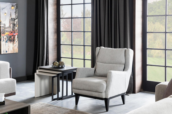 Salon Fauteuil Place Design Canapé Tapisserie Luxe Gris Style Moderne