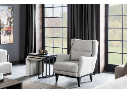 Salon Fauteuil Place Design Canapé Tapisserie Luxe Gris Style Moderne
