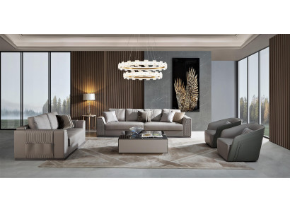 Élégant ensemble de canapés 3+2+1+1 Design exquis en ton gris élégant