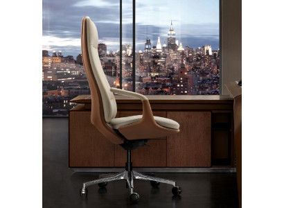Chaise Chaise de bureau Bureau Chaise pivotante Fauteuil Fauteuils Chaise de direction Bureau