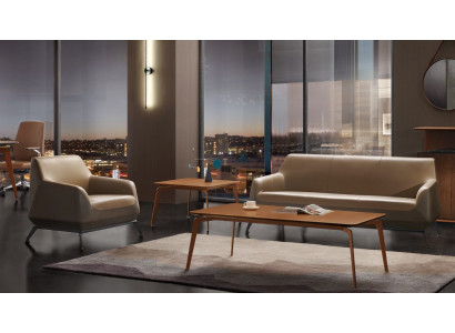 Fauteuil Lounge Luxe TV Club Rembourrage Siège Design Fauteuil Canapé Sofa