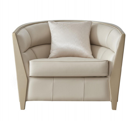 Fauteuil Canapé Ameublement Fauteuil Simple Fauteuil Royal Tapisserie Salon Club