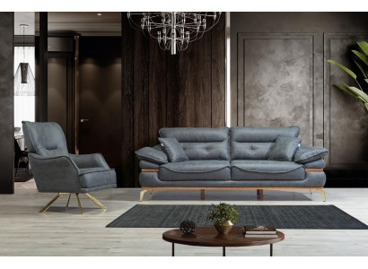 Salon moderne de designer gris avec canapé 3 places et nouveau fauteuil