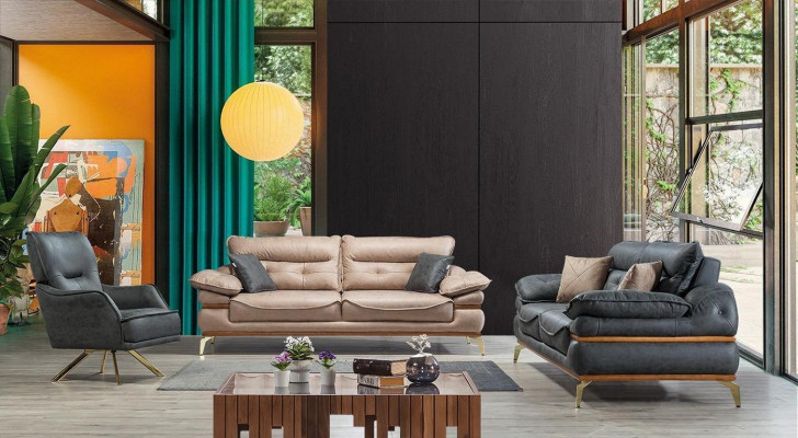 Salon moderne de designer gris avec canapé 3 places et nouveau fauteuil
