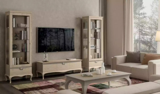 Salon Armoire TV Vitrine Unité murale Armoires Design Set de vitrines Art déco