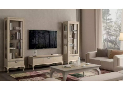 Salon Armoire TV Vitrine Unité murale Armoires Design Set de vitrines Art déco