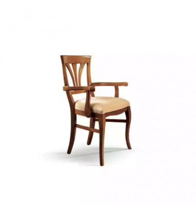 Chaise de salle à manger Chaise Bois Chaise en bois Chaise rembourrée de design Chaises neuves