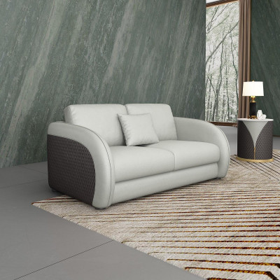 Canapé en cuir Canapé Canapé de vie 2 places Design Moderne Canapé Deux places En cuir véritable