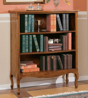 Salle de séjour Vitrine Armoire Livres Étagère Buffet Mobilier classique Étagères Bois