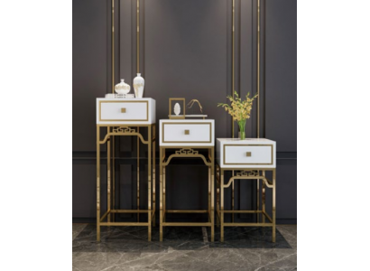 Stand Consoles Table Column Design Shelf - Bois avec acier inoxydable à haute brillance