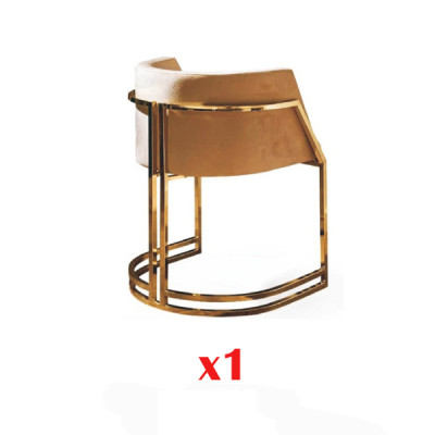 Chaise 1x de luxe Chaise de salle à manger Fauteuil de salon Fauteuil de salon Chaise rembourrée