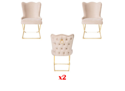 Chaise de salon Chaise rembourrée Chaise de luxe 2x Chaise Chaise de salle à manger