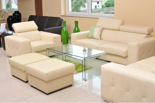 Canapé 2 places Canapés design Canapés Rembourrage Cuir Relax Moderne Deux places