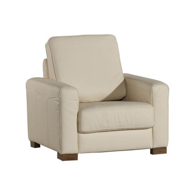 Fauteuil une place canapé télévision canapé une place mobilier de salon canapés neufs