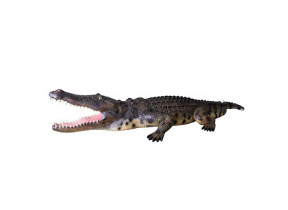 Décoration de jardin en forme de crocodile statue grandeur nature sculpture 320cm statues figure