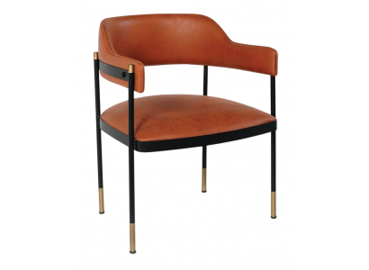 Brauner Esszimmer Lederstuhl Stilvoller Armlehnenstuhl Küchenstühle