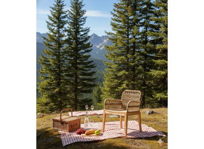 Stilvoller Gartenstuhl Designer Rattanstuhl Luxus Terrassensessel