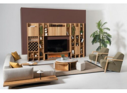 Salle de séjour Unité murale Bois Suite de luxe Nouveau Style Moderne Luxe Marron