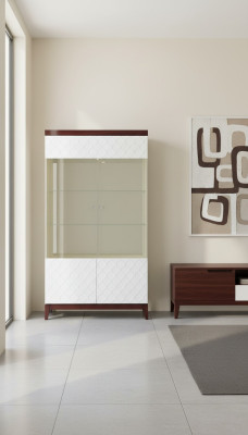 Vitrine vitrine de style moderne en verre vitrine armoire vitrine étagère décorative