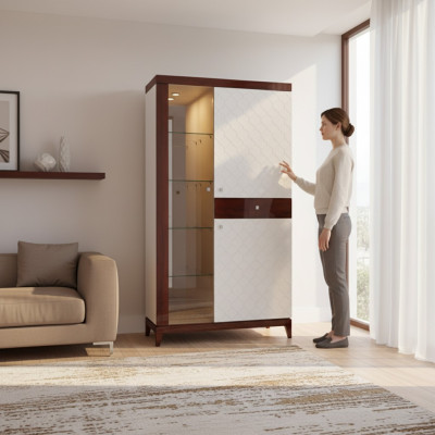 Vitrine de design moderne en verre armoire de vitrine avec étagère décorative de présentation.