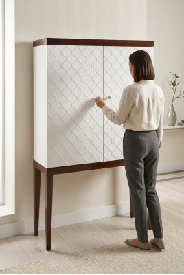 Garde-robe Bar Armoire Vitrine Vitrine Salle de séjour Designer Étagère design Meubles
