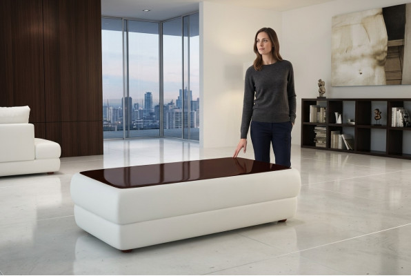Table basse design classique pour le salon en cuir.