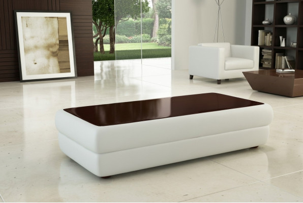 Table basse design classique pour le salon en cuir.