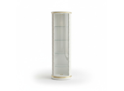 Vitrine à grande taille Étagère de bar Fond en verre Biseau Armoire vitrine Colonne 181,5 cm 1883 nouveau