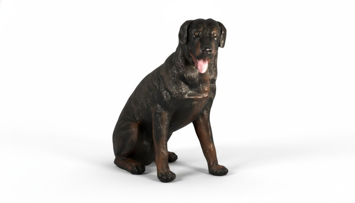 Figurine de chien Rottweiler en design, statue, sculpture, figures, sculptures, décoration 3007