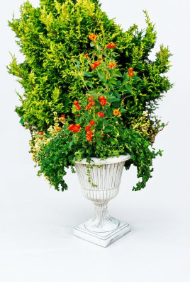 Pot de fleurs pot de plante figure de décoration pots de fleurs vases de jardin