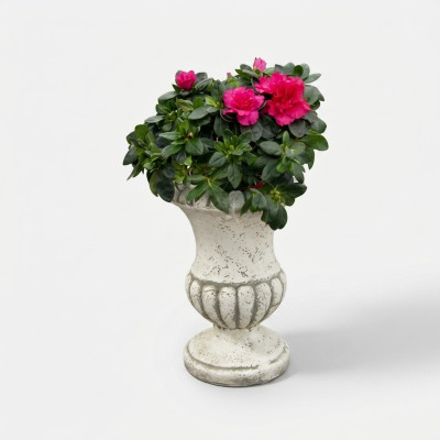 Pot de fleurs pot de plantes naturelles décoration figure pots de fleurs vases de jardin