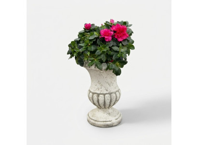 Pot de fleurs pot de plantes naturelles décoration figure pots de fleurs vases de jardin