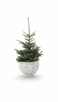 Pot de fleur, pot de plante, figurine de décoration, pots de fleurs de jardin, vases naturels