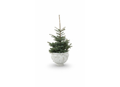 Pot de fleur, pot de plante, figurine de décoration, pots de fleurs de jardin, vases naturels